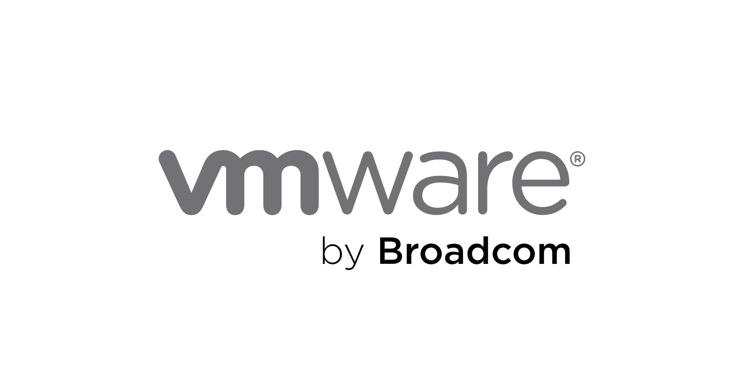 VMware 02.2024